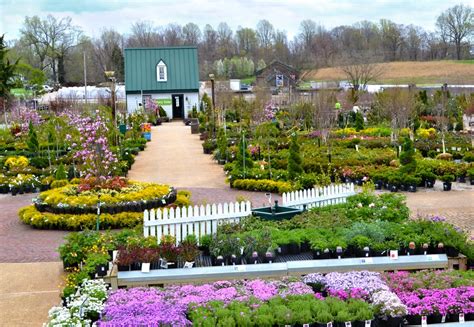 Homestead gardens - Homestead Gardens has the answer - planting calendars! Whether you're growing a kitchen garden, or a full-on backyard farm, these handy guides will calculate the best time of year for each seed or plant. Davidsonville 410.798.5000; …